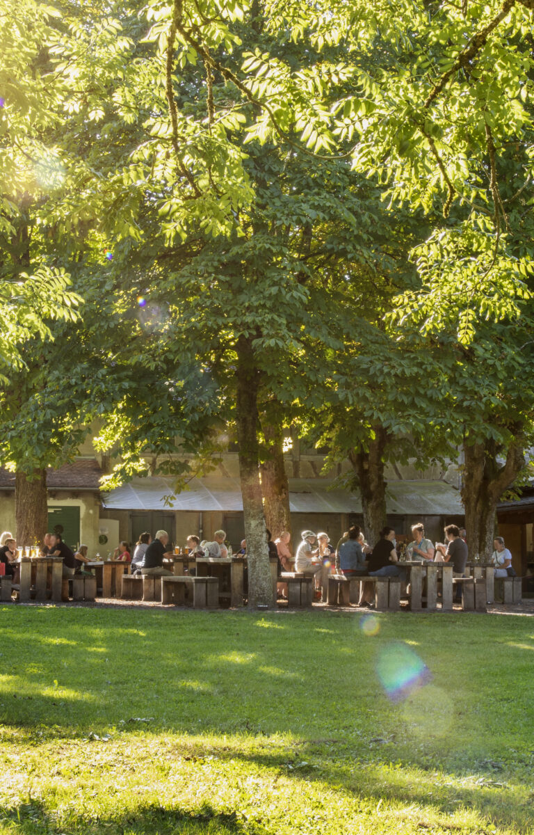 Online Biergarten Mainauwald-6-Fotograf-AnnaGlad